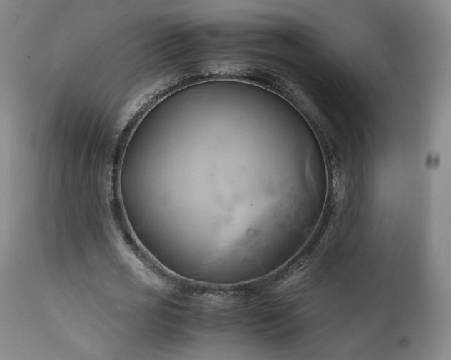 X0000110970725200906191335