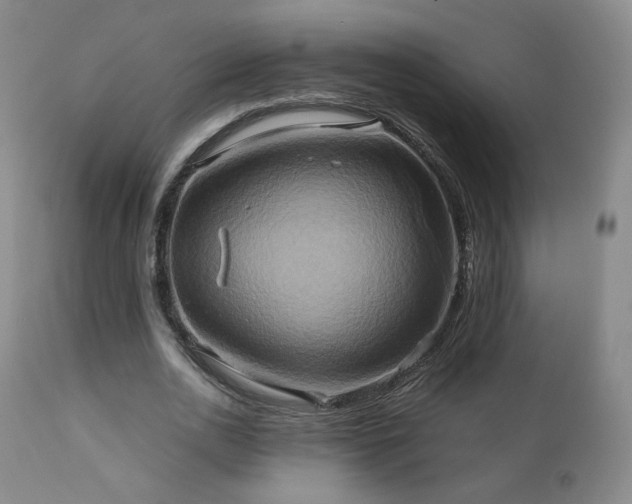 X0000110970726200906191335