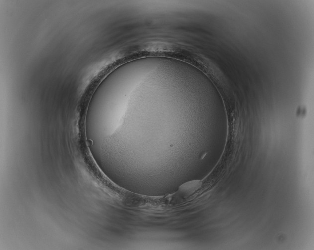 X0000110970727200906191335