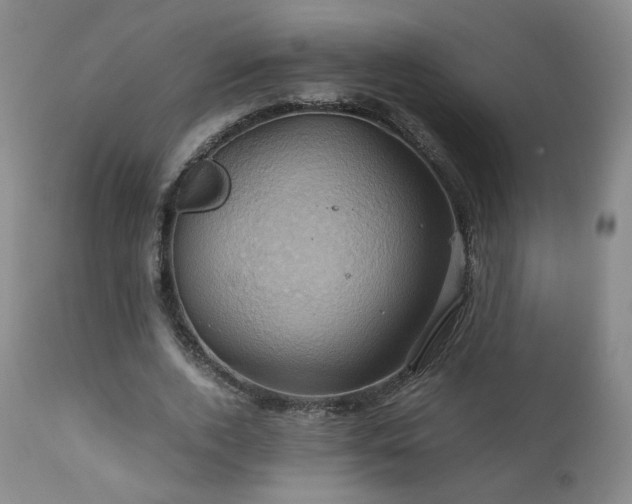 X0000110970728200906191335