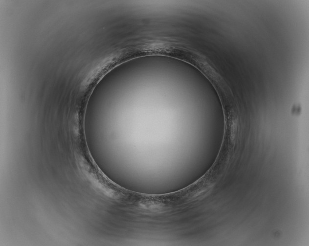 X0000110970729200906191335