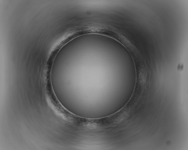 X0000110970730200906191335