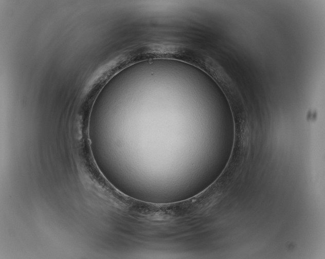 X0000110970731200906191335