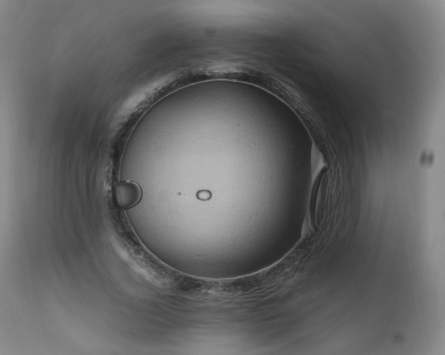 X0000110970732200906191335