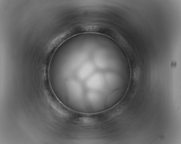 X0000110970733200906191335