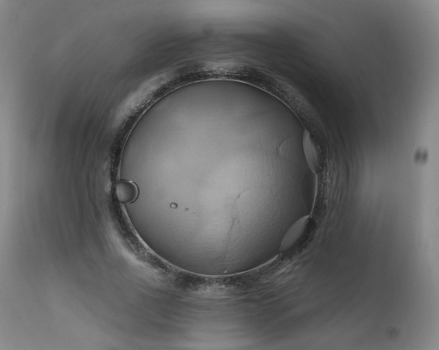 X0000110970734200906191335