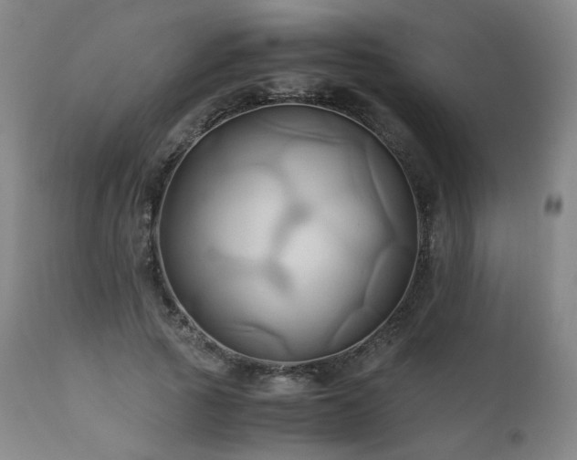 X0000110970737200906191335