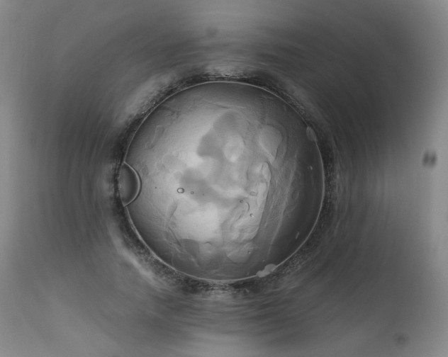 X0000110970738200906191335