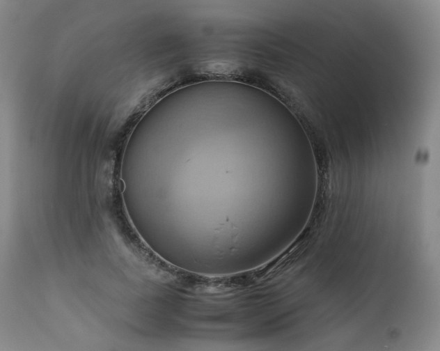 X0000110970739200906191335