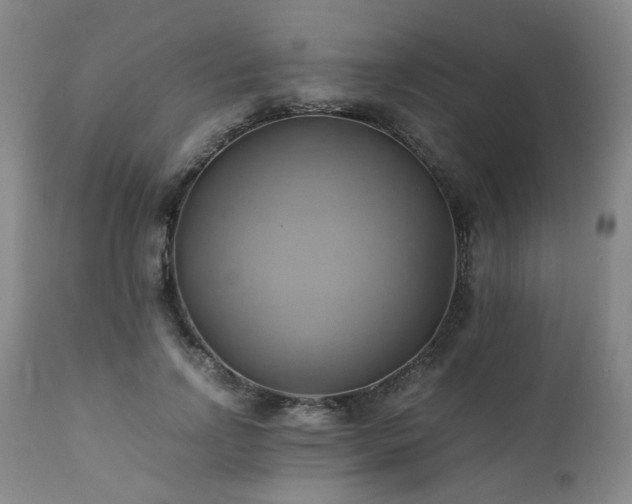 X0000110970742200906191335