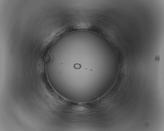 X0000110970743200906191335