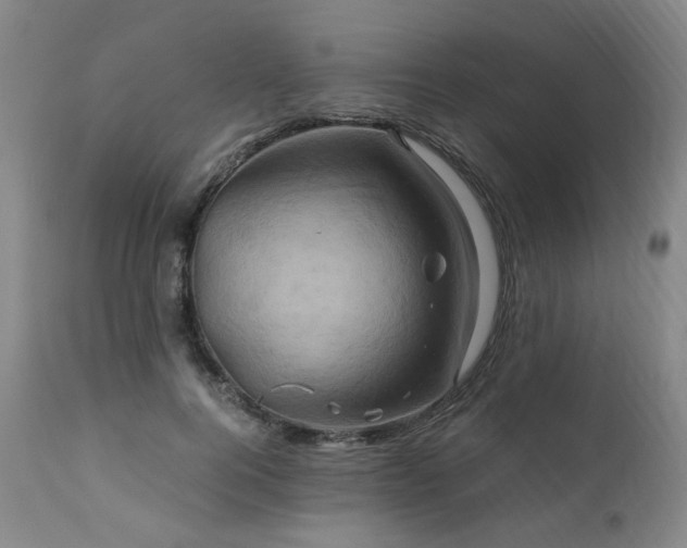 X0000110970744200906191335