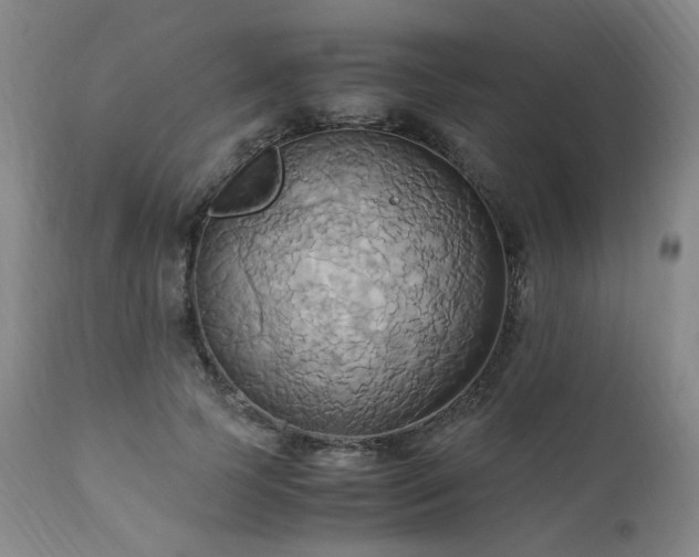 X0000110970745200906191335