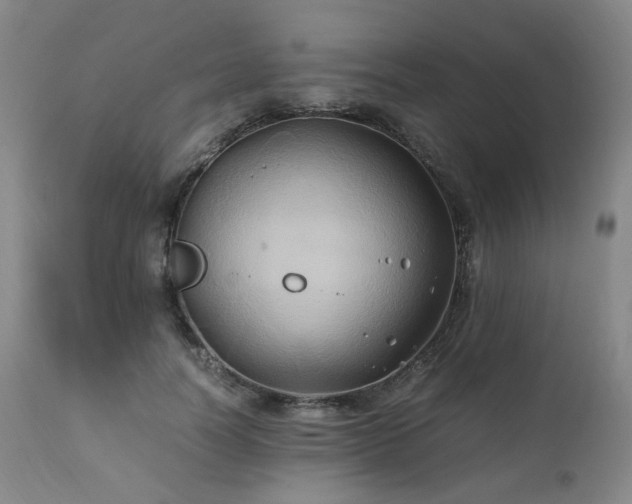 X0000110970746200906191335