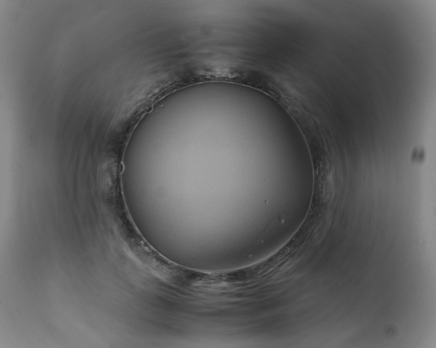 X0000110970747200906191335