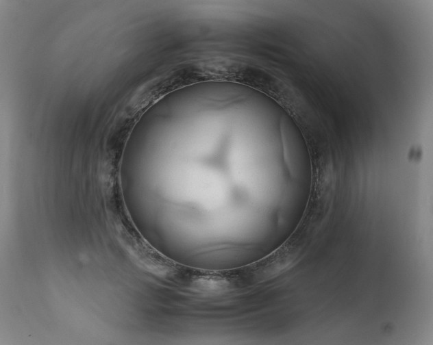 X0000110970749200906191335