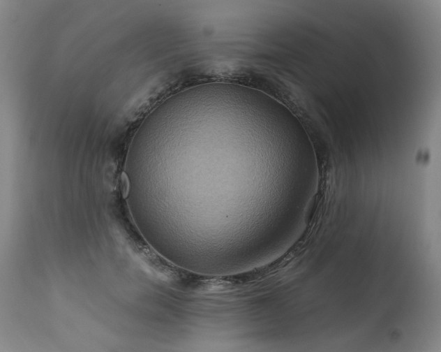 X0000110970750200906191335