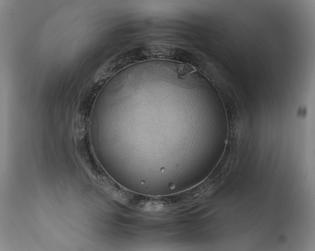 X0000110970751200906191335