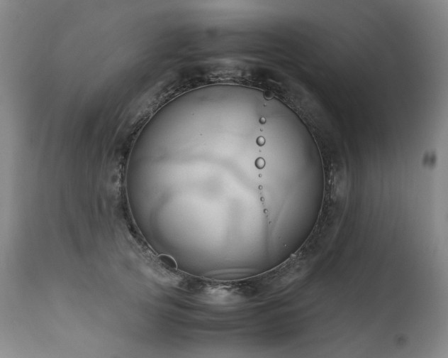 X0000110970753200906191335