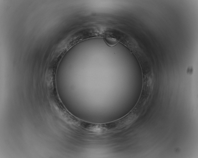 X0000110970754200906191335