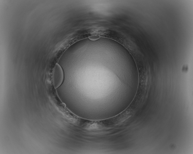 X0000110970755200906191335