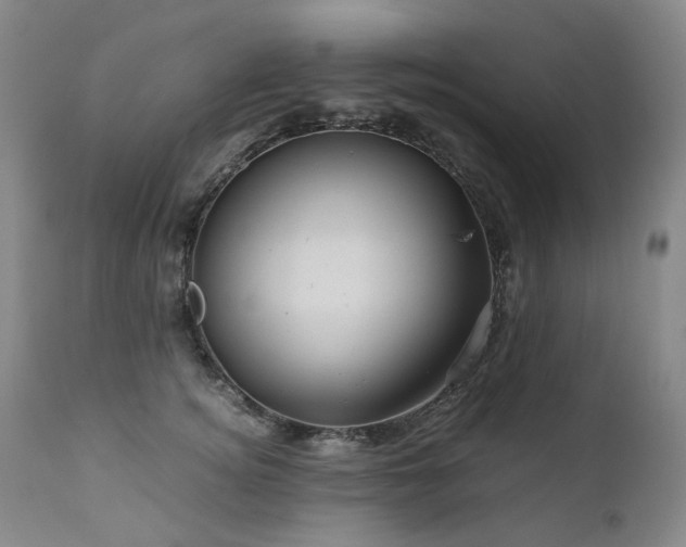 X0000110970756200906191335