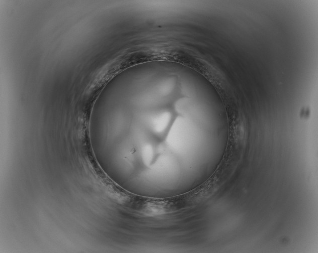 X0000110970757200906191335