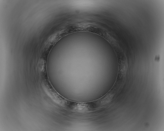 X0000110970758200906191335