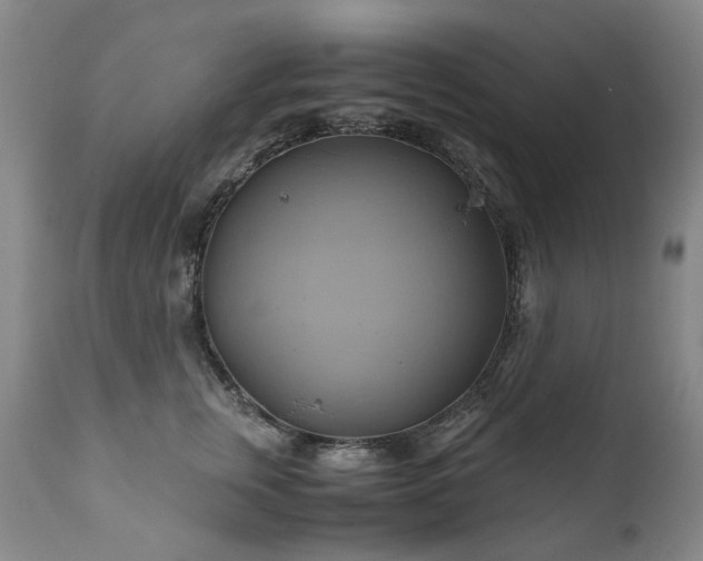 X0000110970759200906191335