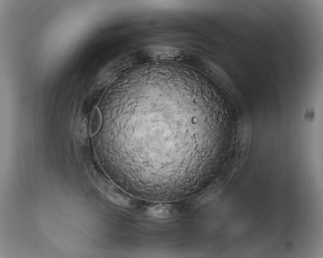 X0000110970761200906191335