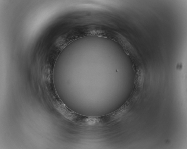 X0000110970762200906191335