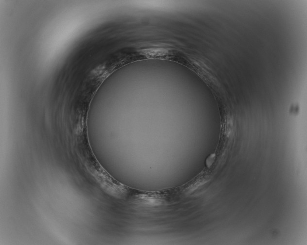 X0000110970763200906191335