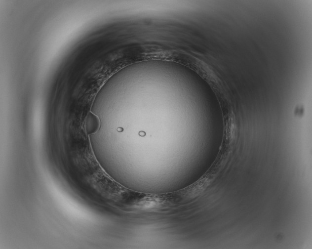 X0000110970764200906191335