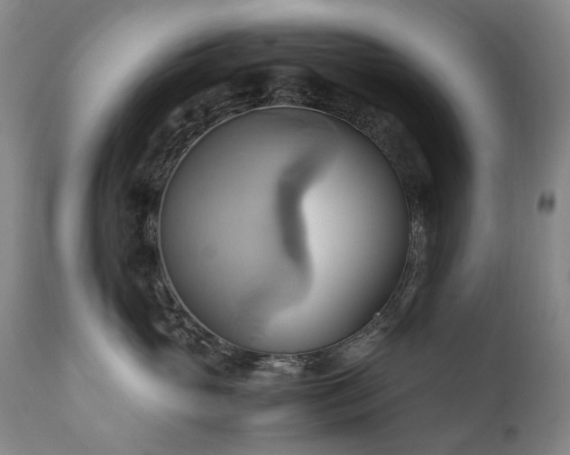 X0000110970765200906191335