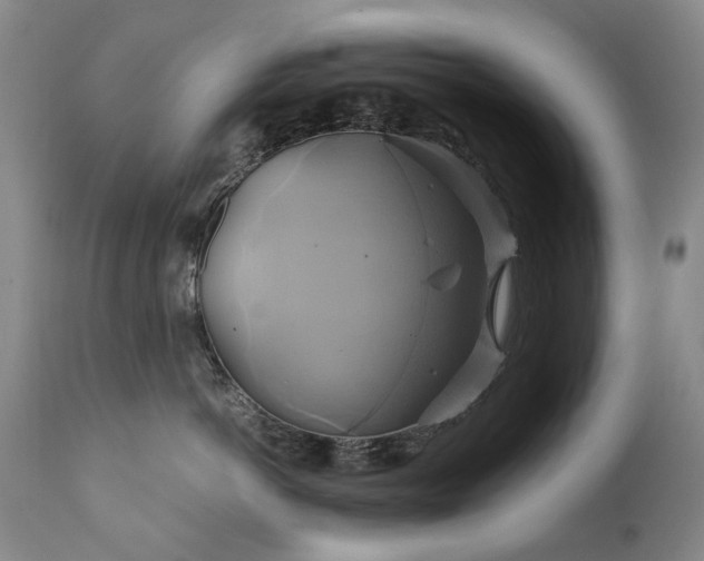 X0000110970766200906191335