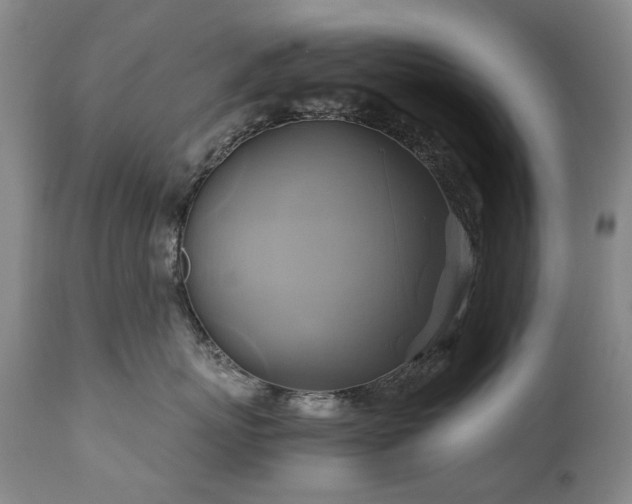 X0000110970767200906191335