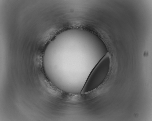 X0000110970768200906191335