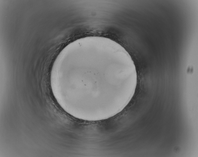 X0000110970769200906191335