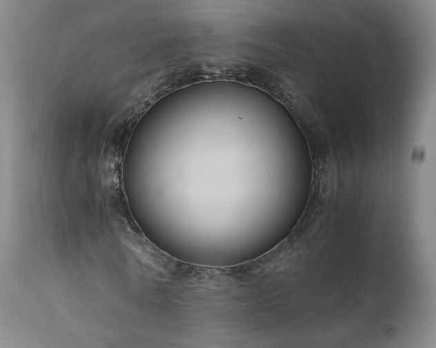 X0000110970770200906191335