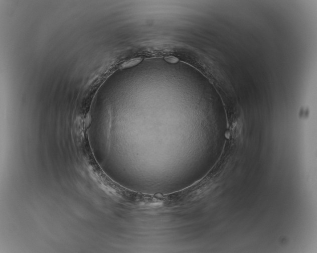 X0000110970772200906191334