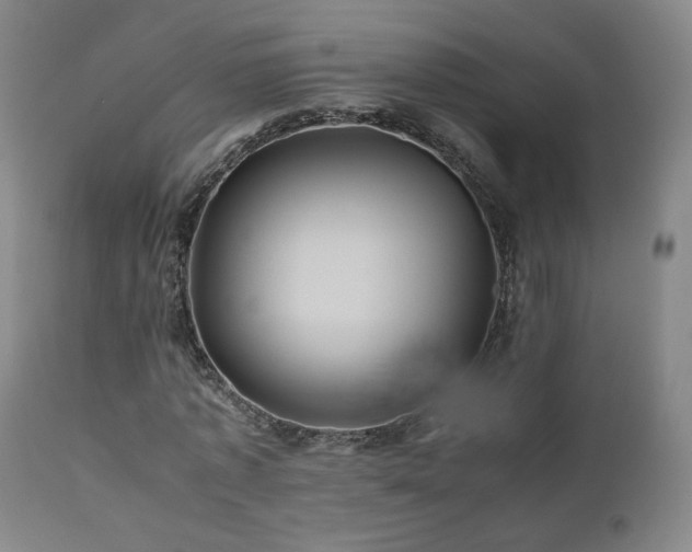 X0000110970773200906191334