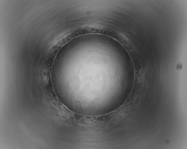 X0000110970774200906191334