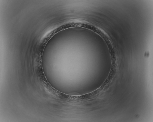 X0000110970775200906191334