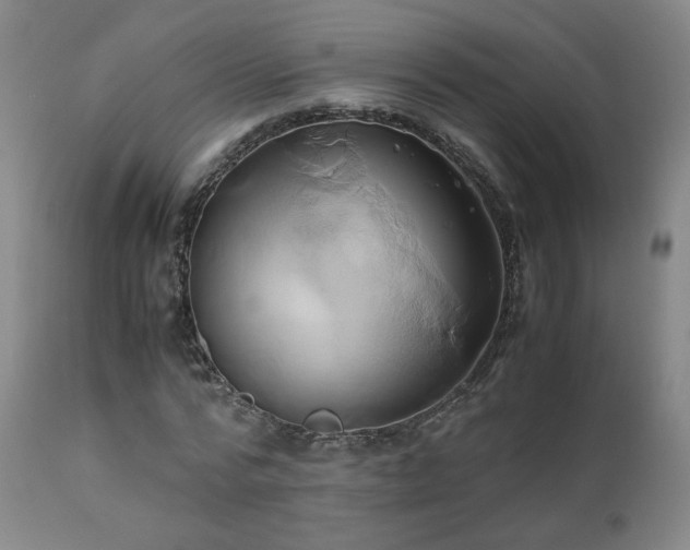 X0000110970776200906191334