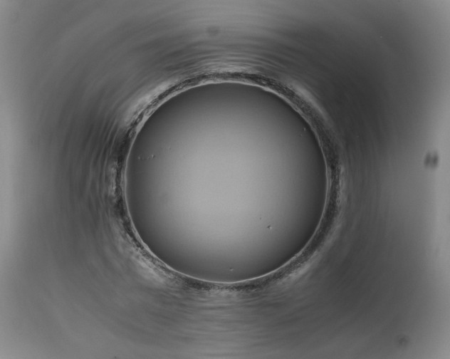 X0000110970777200906191334