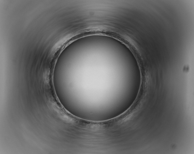 X0000110970778200906191334