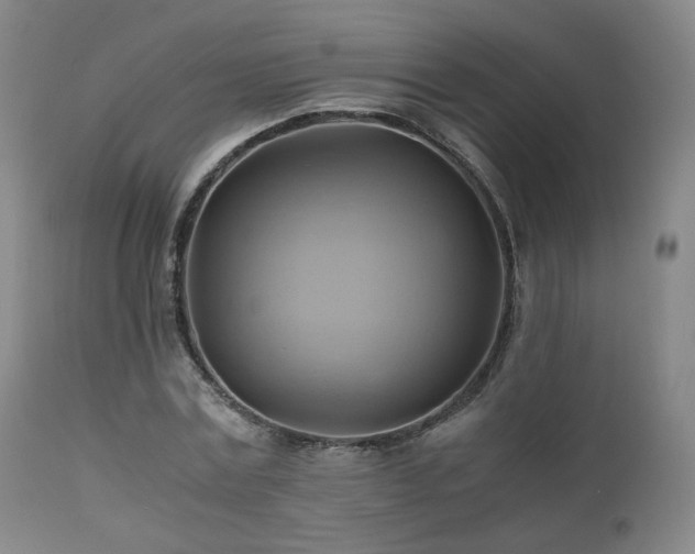 X0000110970779200906191334