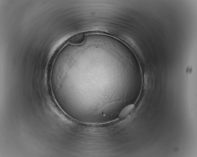 X0000110970780200906191334