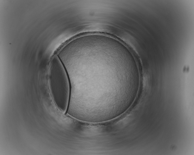 X0000110970781200906191334