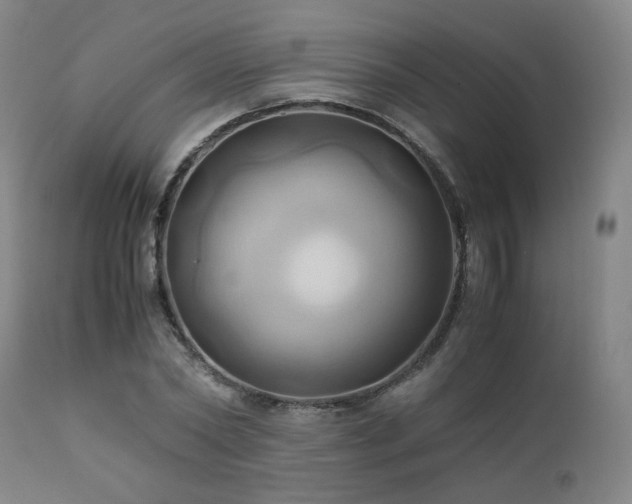 X0000110970782200906191334